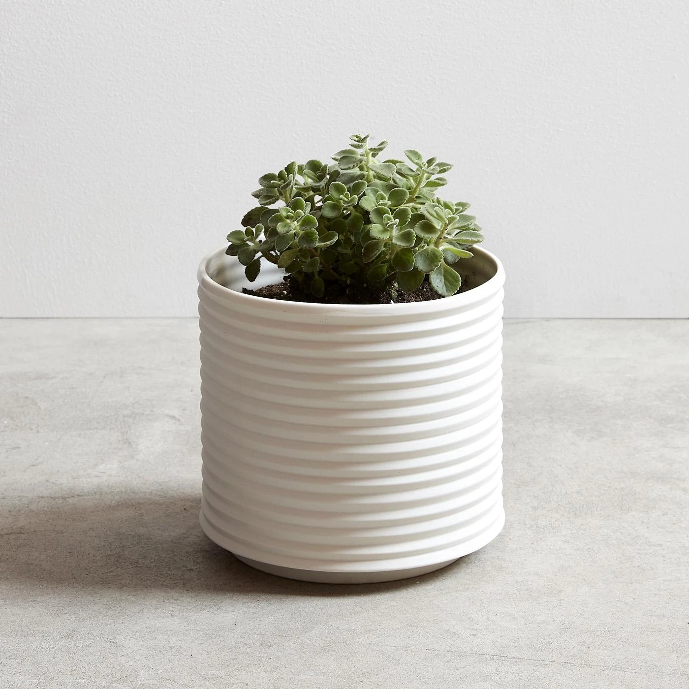 Oblique White Planter - Image 4