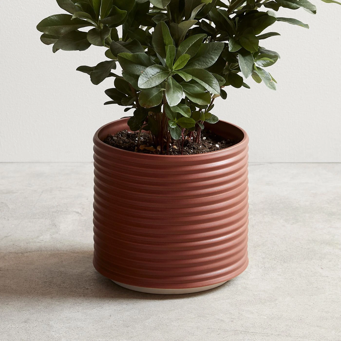 Oblique Brick Planter - Image 4