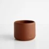 Botany Terracotta Small Planter