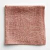 Point Red Napkin