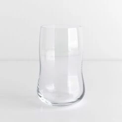 Future Tumbler 12.5oz