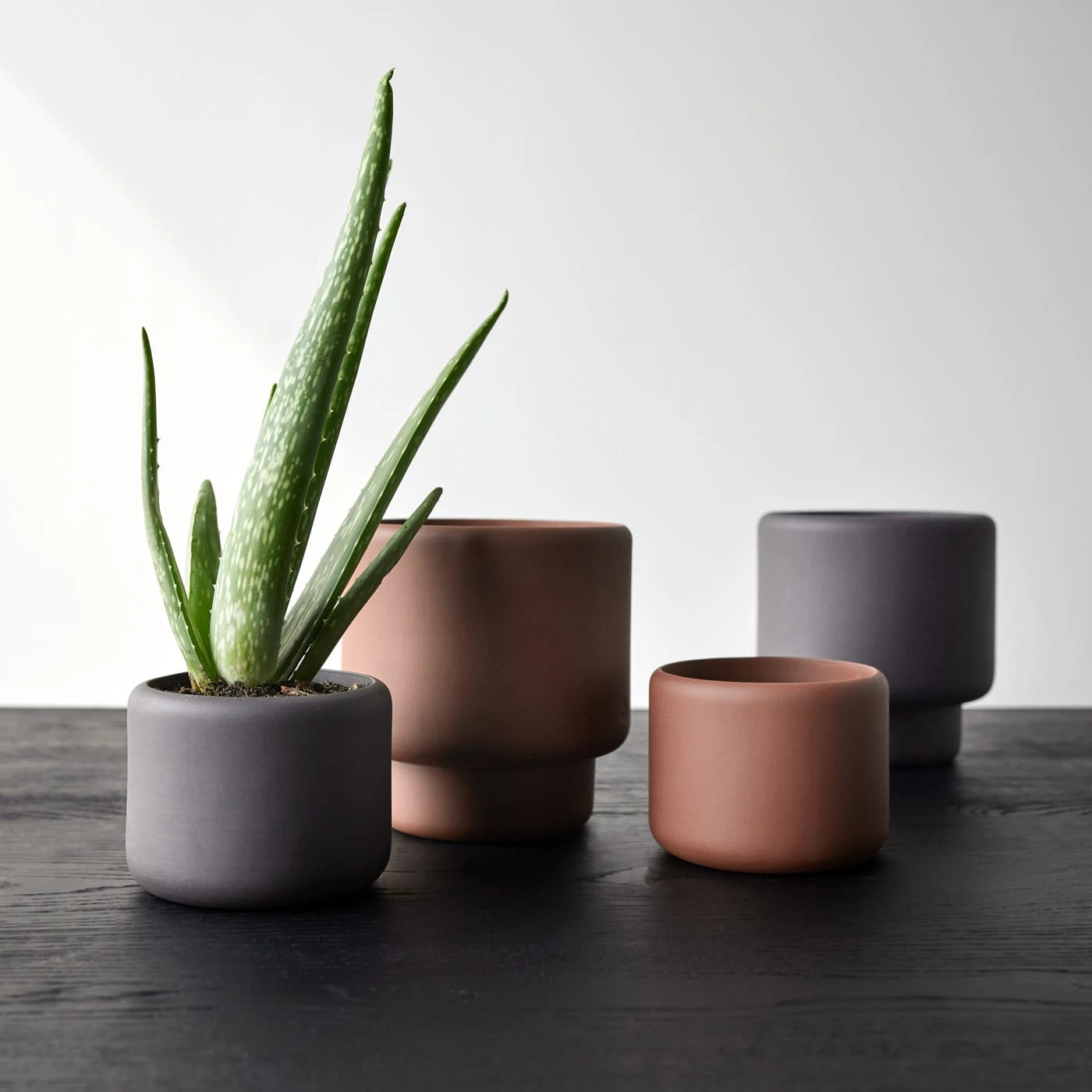 Botany Black Medium Planter - Image 6