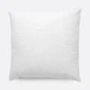 Feather-Down Throw Pillow Insert 20"x20"