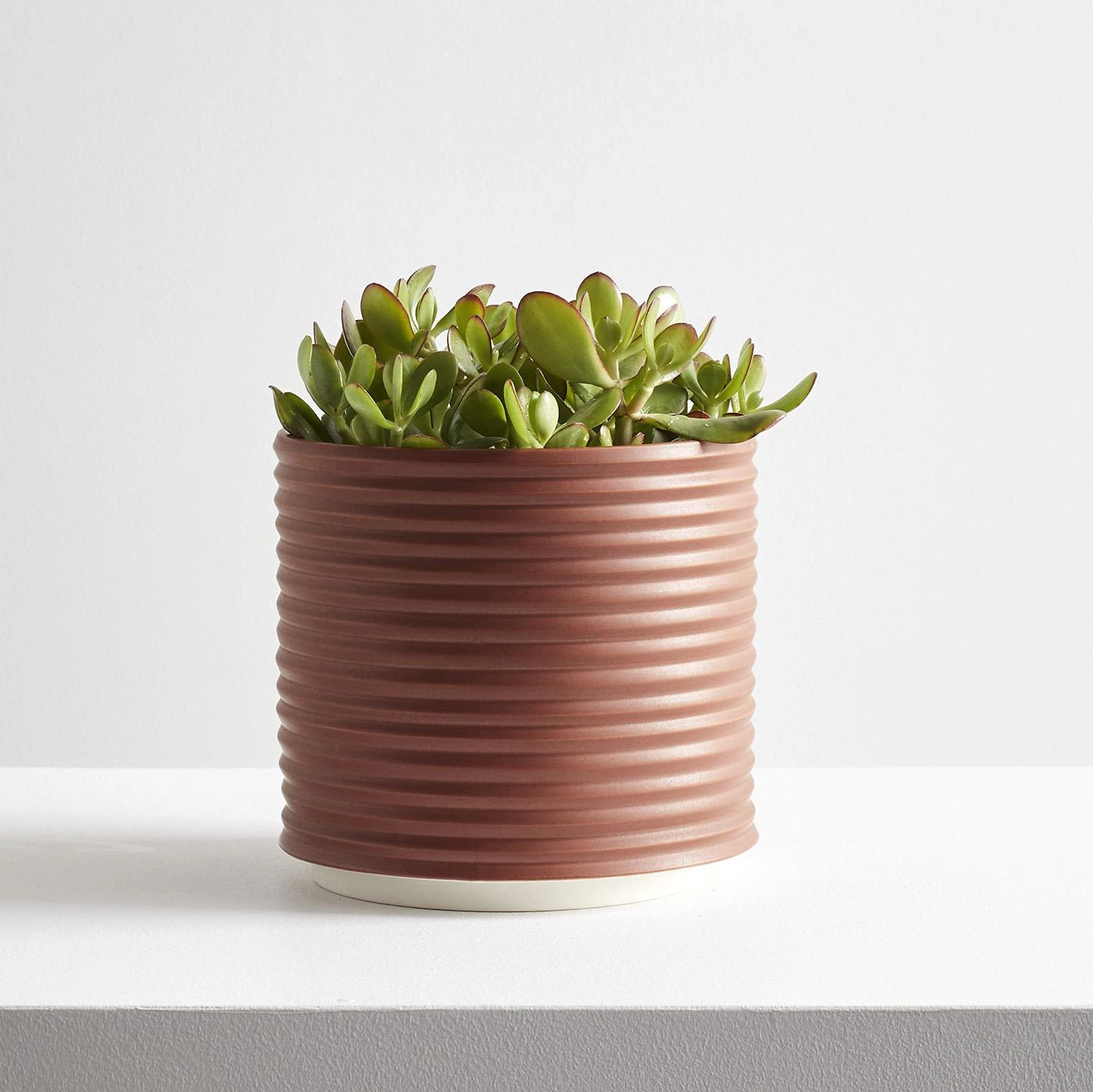 Oblique Brick Planter - Image 2