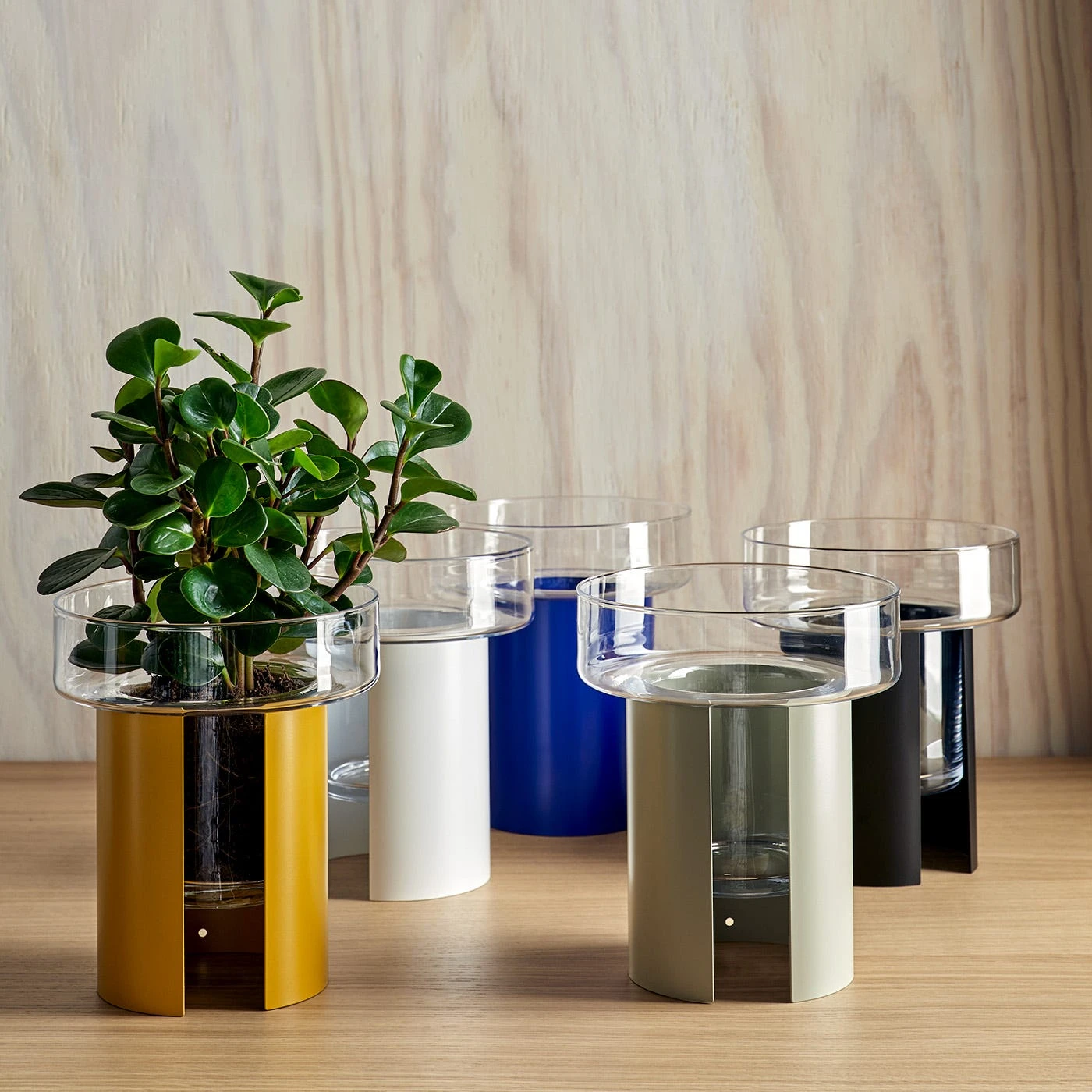 LSA International Terrazza Mustard Yellow Planter - Image 3