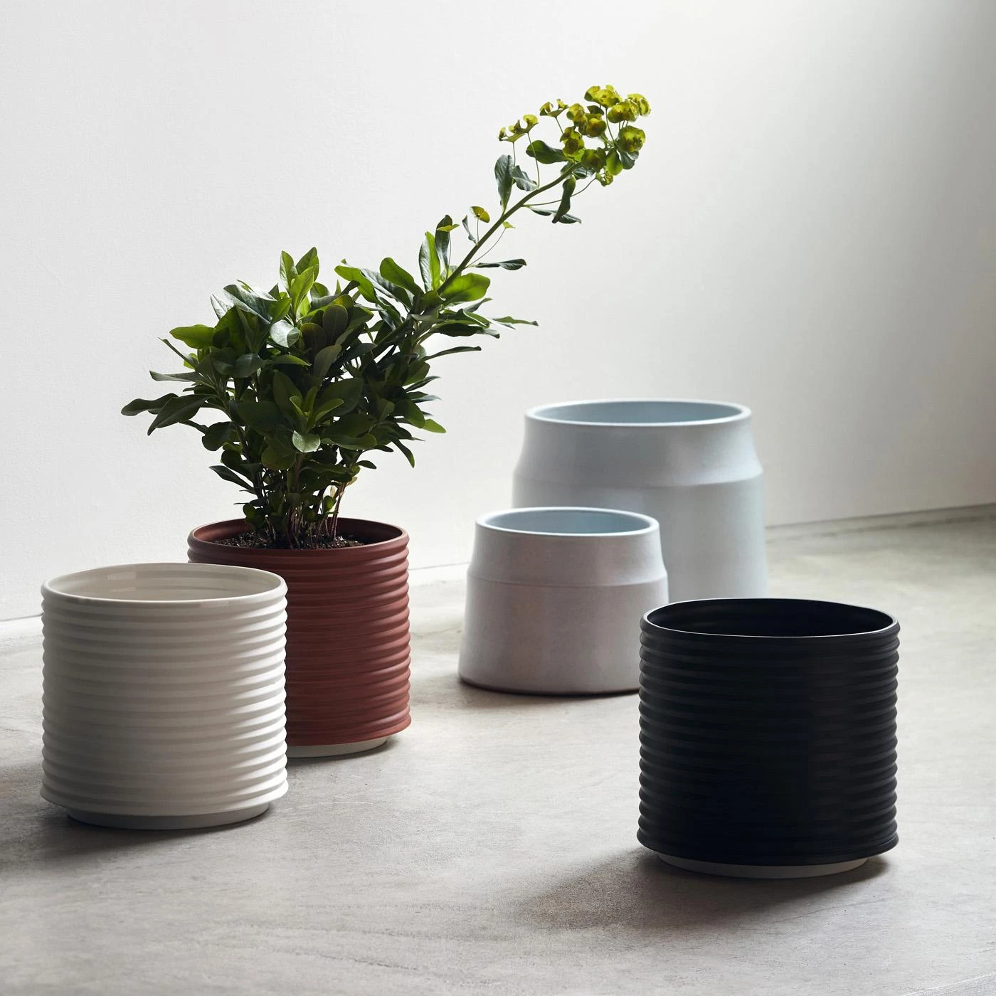 Oblique Brick Planter - Image 9